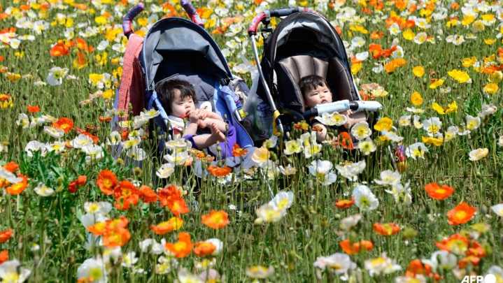 Japan births in 2024 fell below 700,000 for first time