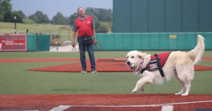 Thrillville lets the dogs out at Mtn Dew Park