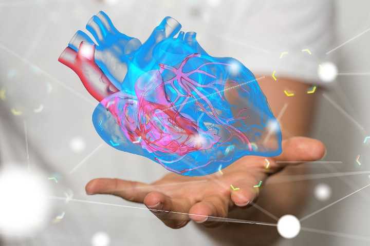 Quality of Low-Carb, Low-Fat Diet Affects Heart Disease Risk