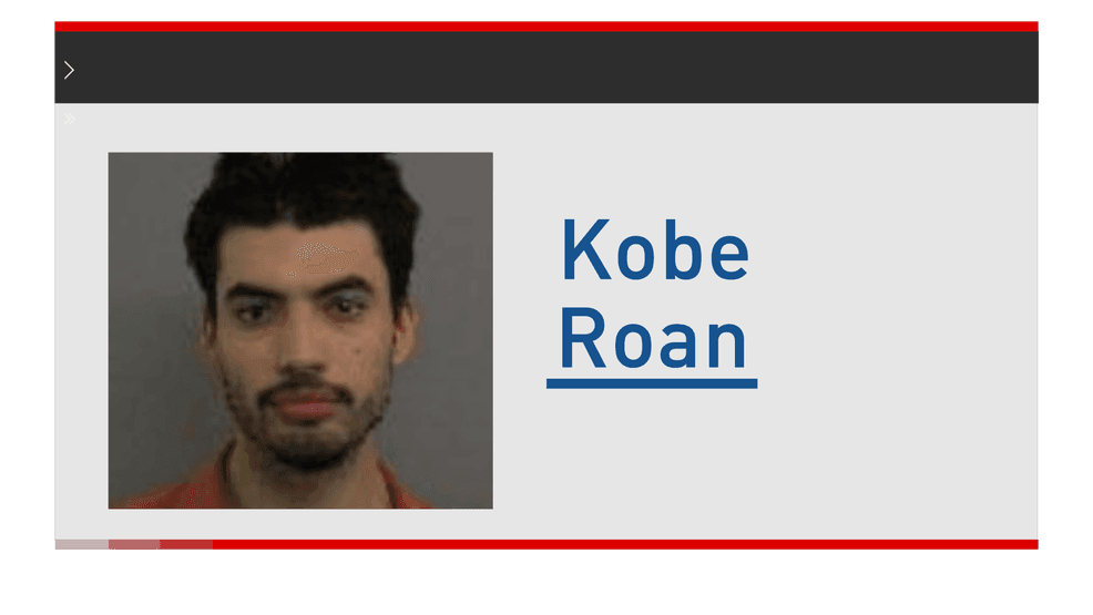 Madison man facing charges of uploading child porn to website