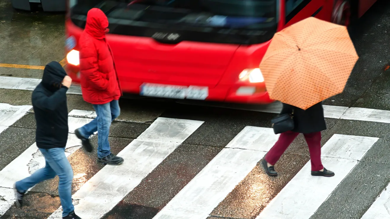 Accidentes viales:estados más peligrosos para peatones en EE.UU