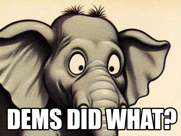 Shorter Republicans: 'Democrats Can't Do What WE Did! Unfair!'