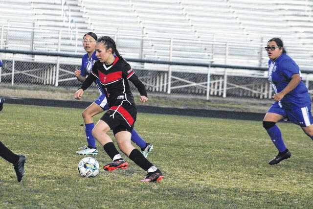 All-County girls soccer team features Rams, Devils