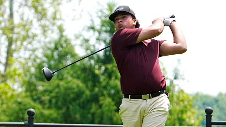 MHSAA boys golf: Okemos senior wins Division 1 individual title