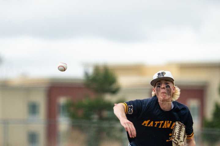 Four Kalamazoo-area baseball teams advance to regional championship games