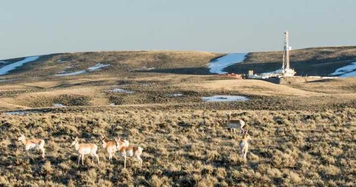 Wyoming lawmakers discuss pros and cons of taking over federal lands
