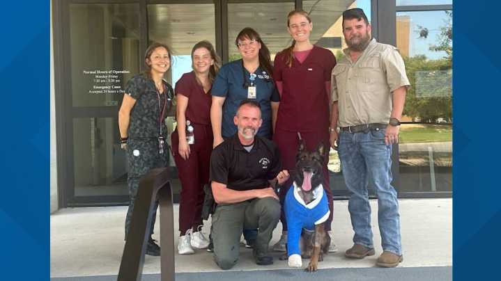 'We are proud of him!' | Waco Police K9 Andor returns home after being shot