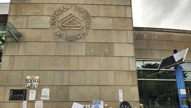 NIH scientists go public to criticize Trump's cuts in public health research