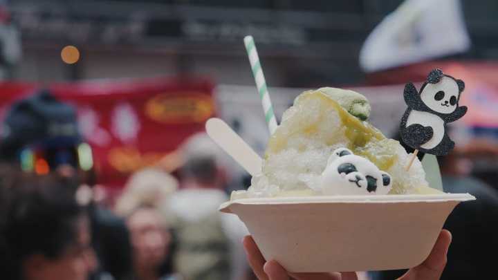 Panda Fest Seattle: Your ultimate guide