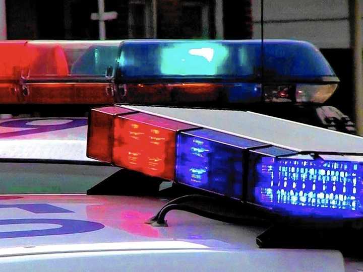 K-9 helps capture suspect wanted for alleged assault at CT hotel