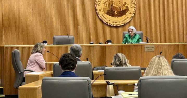 PSC hears evidence in case involving broadband pole attachments