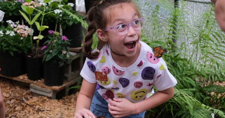 Chattahoochee Nature Center hosts Flying Colors Butterfly Festival