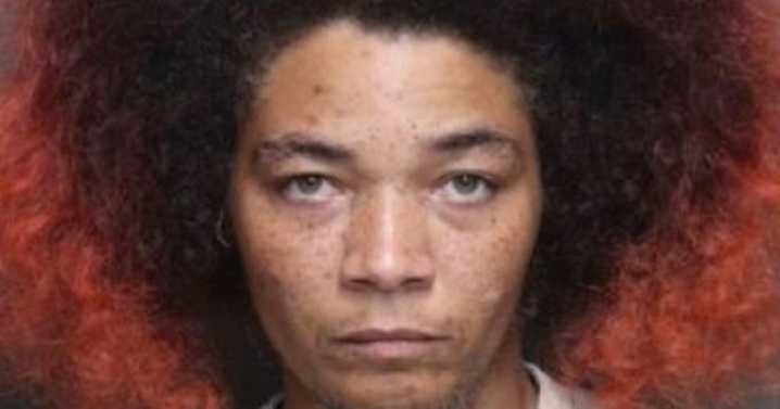 Eight-year-old boy found starved and murdered in loft and left in a rubbish bag