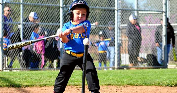 Sports in brief: Little League championship series to begin
