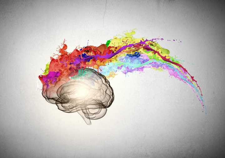 Exploring the Secrets of Human Creativity