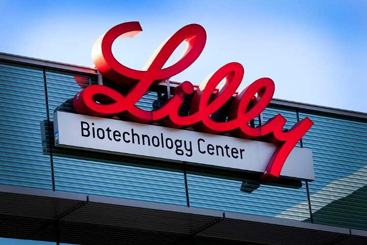 Following Novo Nordisk, Eli Lilly Lands Partner for R&D of Longer