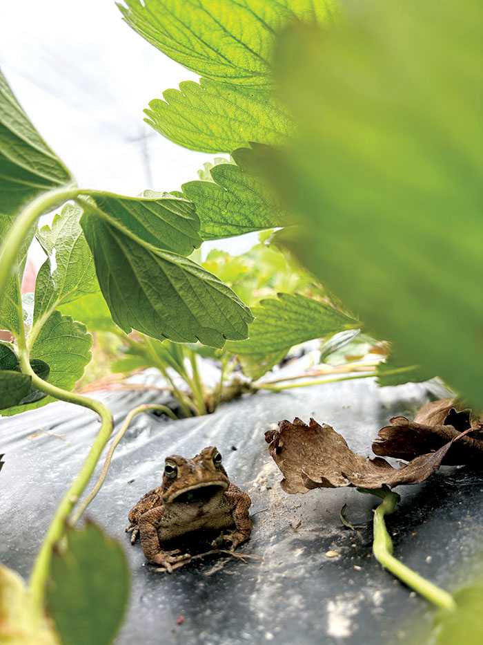 Ashlie Miller: Summer, unscheduled