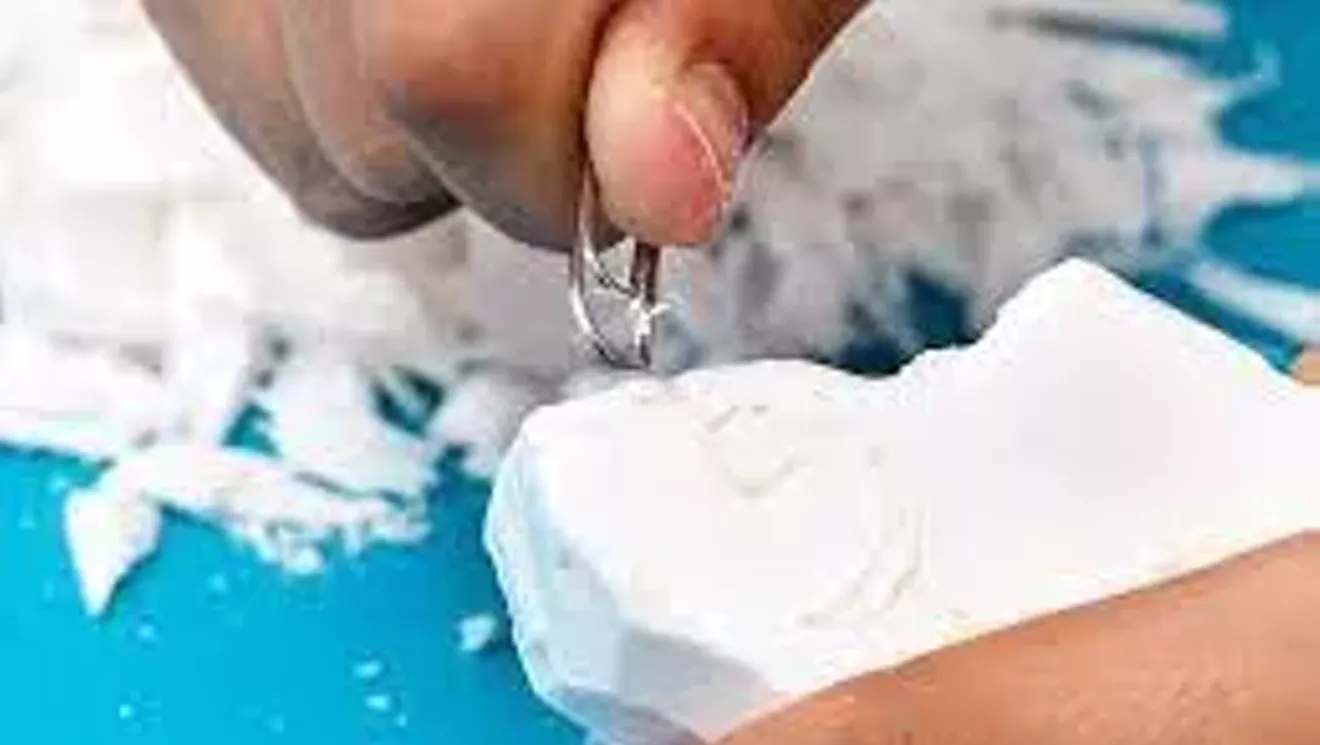 Soap Carving for Kids | Lincoln Memorial Garden