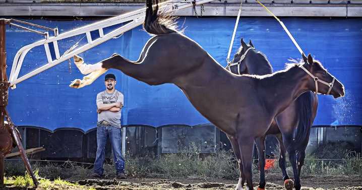 A winner in their books: Horse racing fans remember Downs at Santa Fe as it's demolished