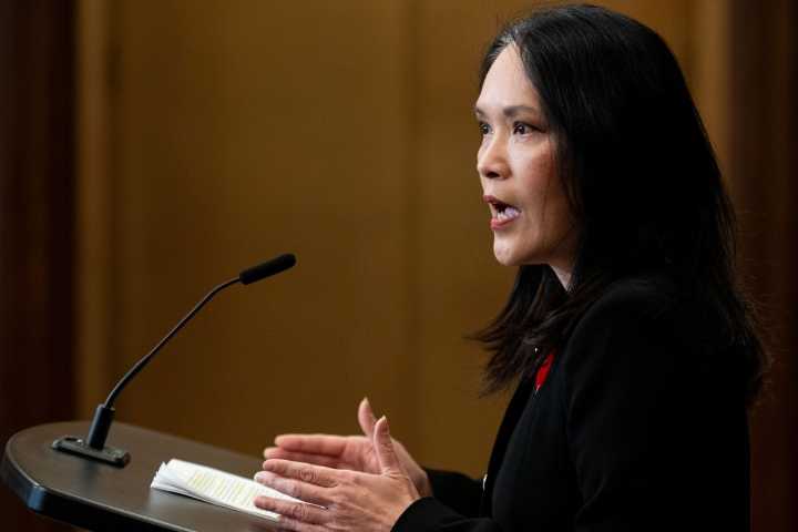 Border bill would allow cabinet to suspend immigration documents in an 'emergency'