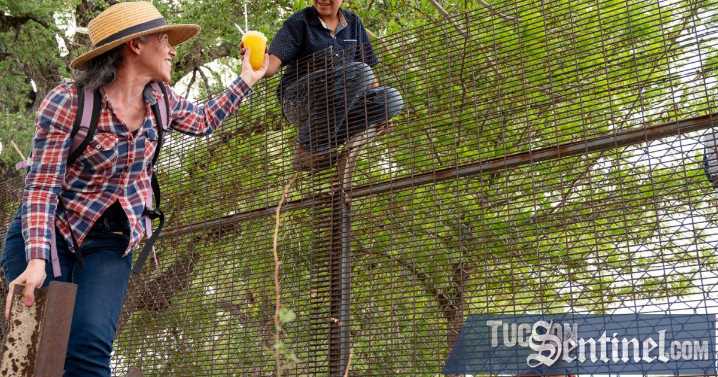 Binational 'border happening' celebrates San Rafael Valley as DHS prepares to build new wall