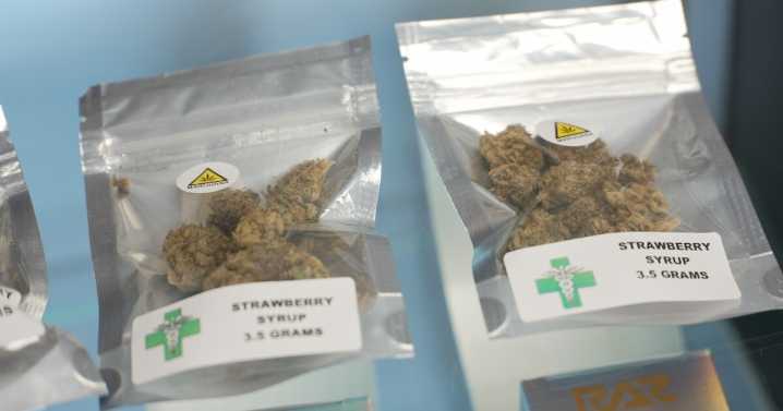 Montana marijuana industry shares concerns over testing
