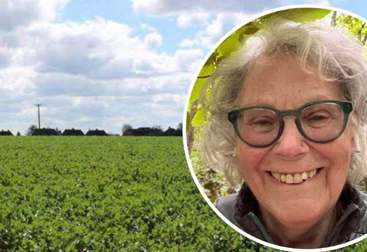 Plans for 120-home development off Popes Lane, Sturry, branded ‘obscene’