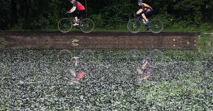 Waterloo Region Record morning update for June 6