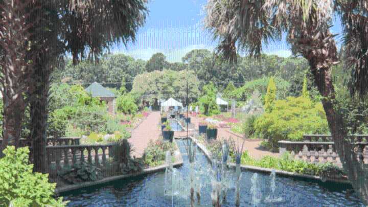 'Rooted in the Midlands': Riverbanks Garden celebrates 30 years of blooming beauty