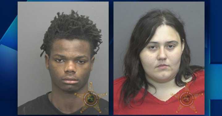 EPD: Driver caught with pills after wrecking stolen vehicle, claims his 'twin' was driving