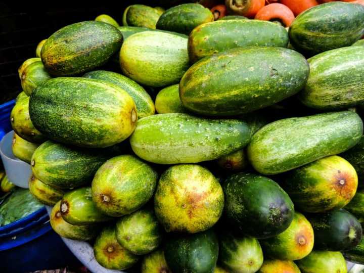 Salmonella Cucumber Outbreak News: Updates, Full List of Recalls, Lawsuits Filed