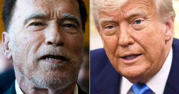 Arnold Schwarzenegger Drops Bluntest Of Advice To Environmentalists Dismayed By Trump