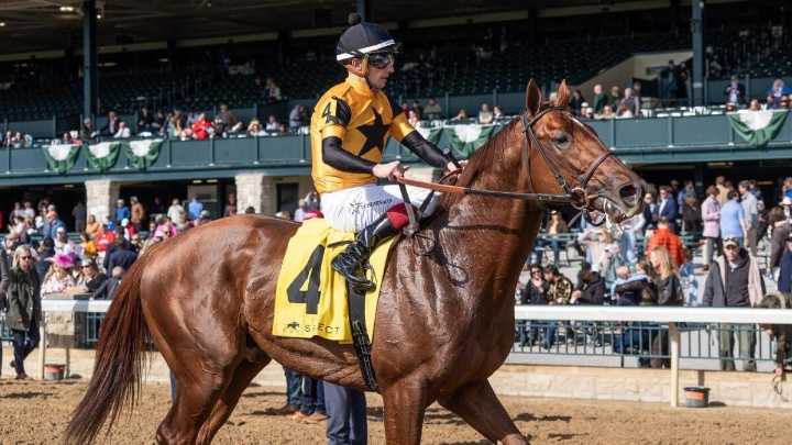 Belmont Stakes 2025 predictions, odds, picks, time, horses: Best bets from expert who called Kentucky Derby