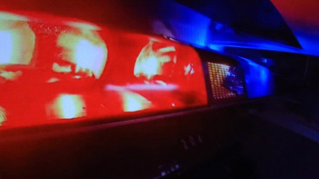 2 juveniles arrested after alleged carjacking, police say