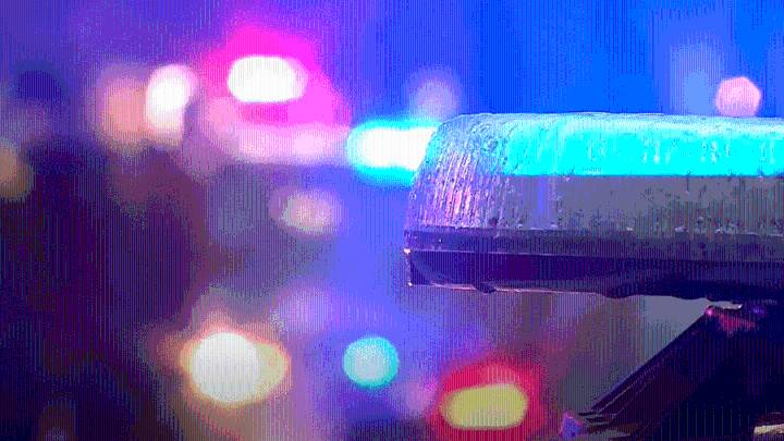 Fugitive accused of fatally shooting dog in Raleigh County arrested, deputies say