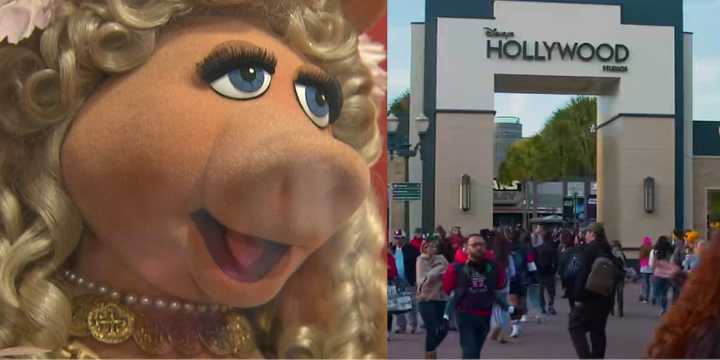 Beloved Disney World attraction Muppet Vision 3D is closing down