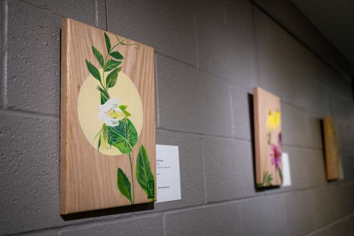 Matthaei Botanical Gardens hosts reception for ‘Moth Eden’ art exhibition