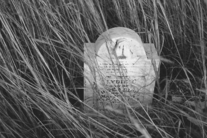 Songs of the Flint Hills