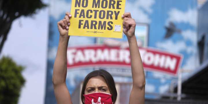 How the FBI and Big Ag Started Treating Animal Rights Activists as Terrorists