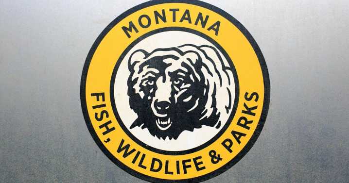 Hunting enthusiast appointed to Fish and Wildlife Commission for northwest Montana