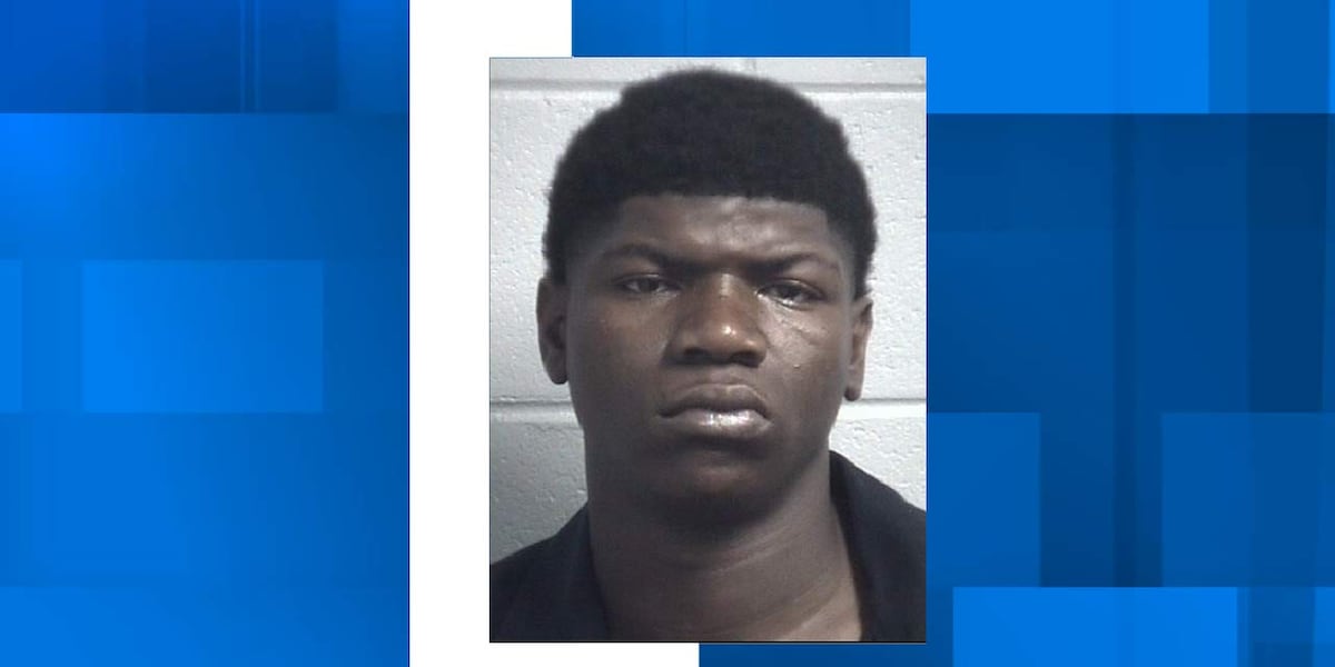 One arrested after Orangeburg County traffic stop ends in drug bust