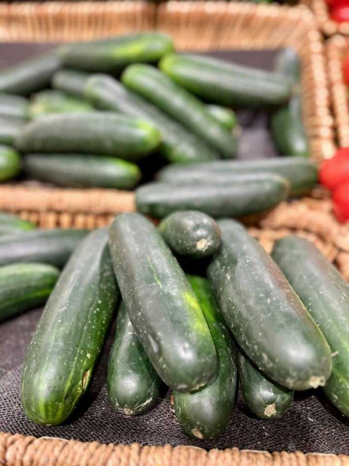 Recent Salmonella Outbreaks Linked to Cucumbers: What You Need to Know