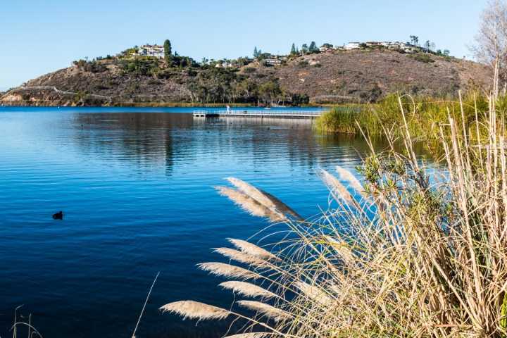Southern California freshwater fish exposed to invasive parasites, new study finds