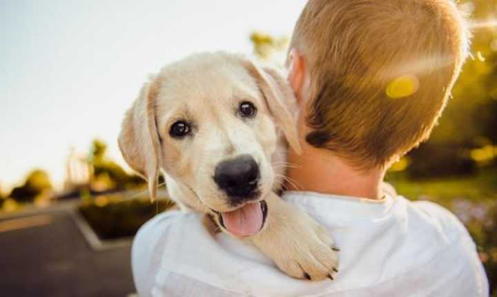 Disfruta en familia del un día para mascotas hoy en Cataño
