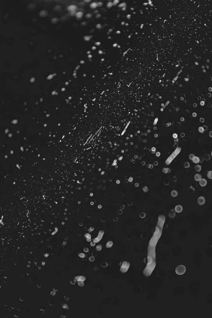 Understanding Prions and Their Human Dangers