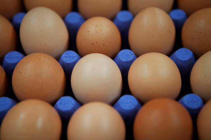 Salmonella outbreak linked to eggs sickens 79 across 7 states, CDC warns