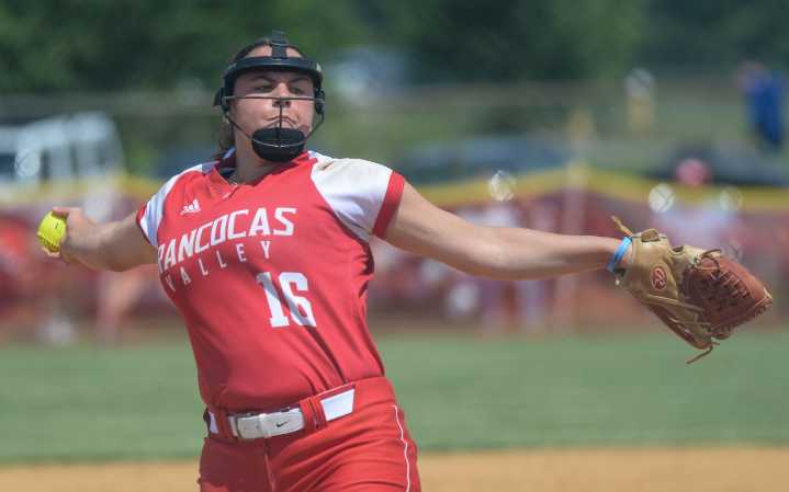 Previewing Friday’s 2025 public softball sectional finals