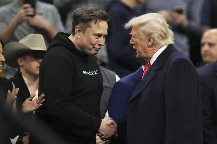 Trump wants you to know he's definitely not mad about Musk dissing him