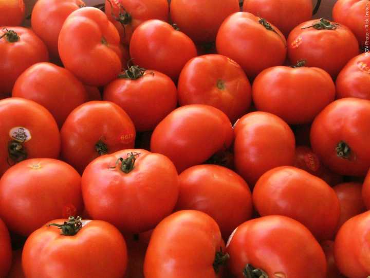 Tomato recall affecting multiple states elevated to highest risk warning by FDA