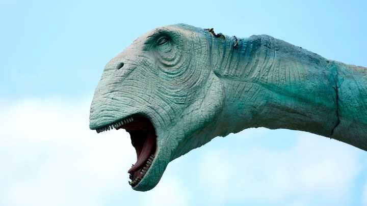 Field Station: Dinosaurs reveals why Bergen County attraction closing